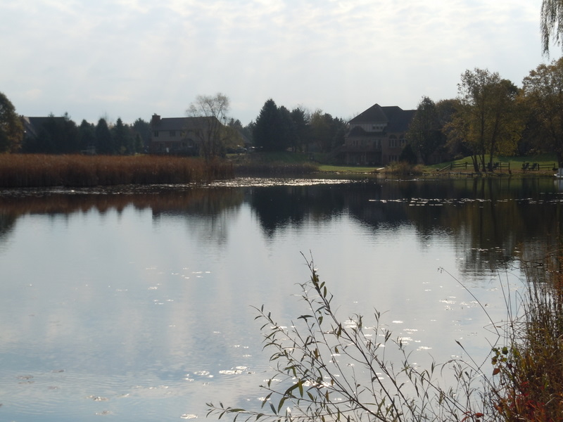 Heather Lake Orion Twp Michigan